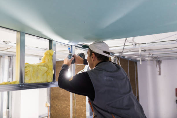 Best Commercial Insulation in Coal Grove, OH