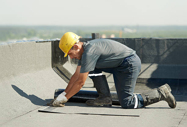 Best Insulation Installation Services in Coal Grove, OH